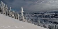 1005939-Hochgrat Gipfel Winter-JWA_2zu1